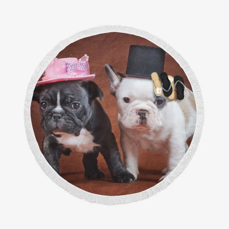 French Bulldog Puppies: Adorable Mr. and Mrs. Hats Round Beach Towel