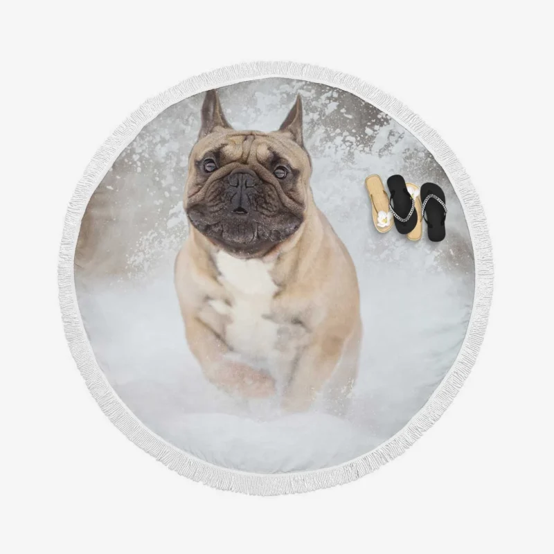 French Bulldog in Snow: A Winter Wonderland Round Beach Towel