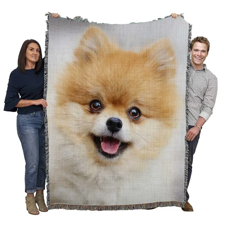 Furry Friendly Elegance: Pomeranian Quartet Woven Blanket