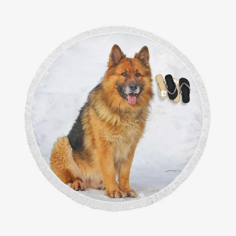 German Shepherd Elegance: Distinctive Breed Round Beach Towel