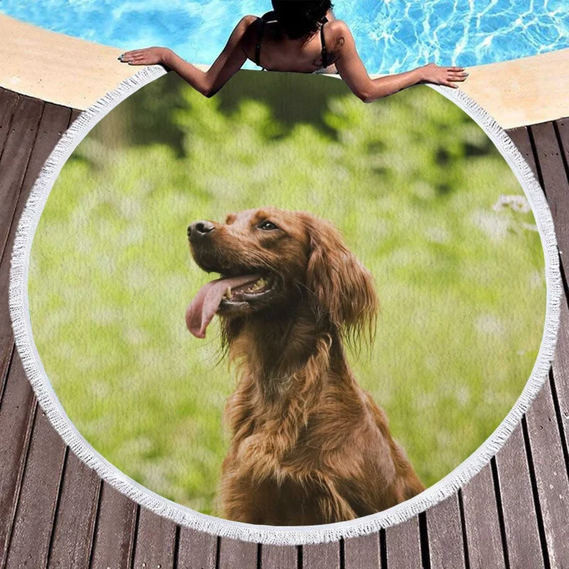 Graceful Canine Beauty: Irish Setter Quartet Round Beach Towel 1