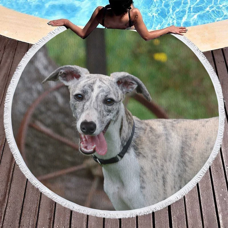 Graceful Canines in Motion: Whippet Quartet Round Beach Towel 1