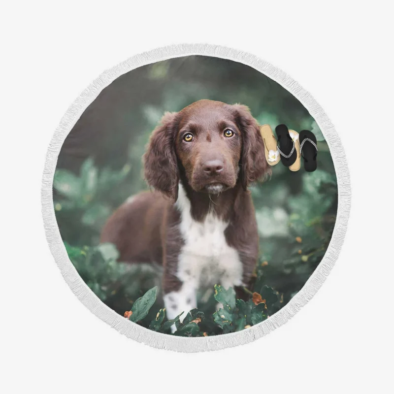 Graceful Spaniel Quartet Round Beach Towel