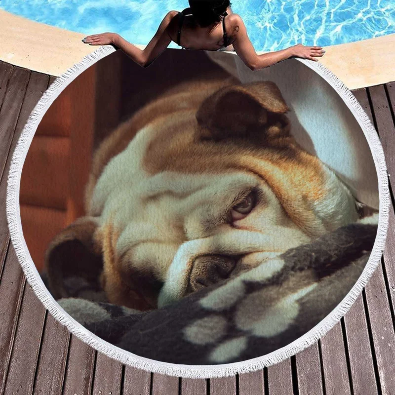 Graceful and Gentle: Bulldog Quartet Round Beach Towel 1