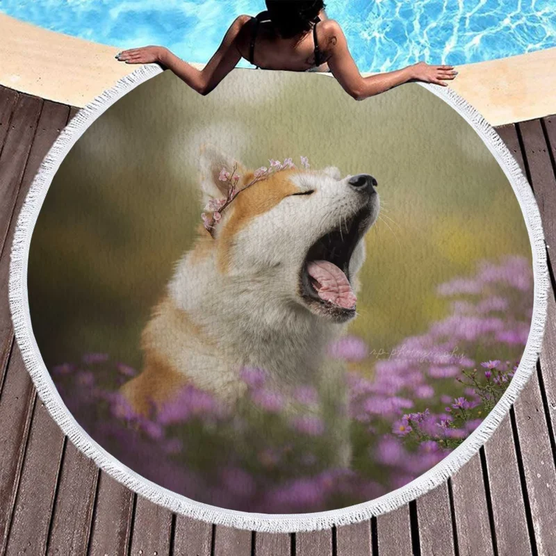 Graceful and Majestic: The Akita Quartet Round Beach Towel 1