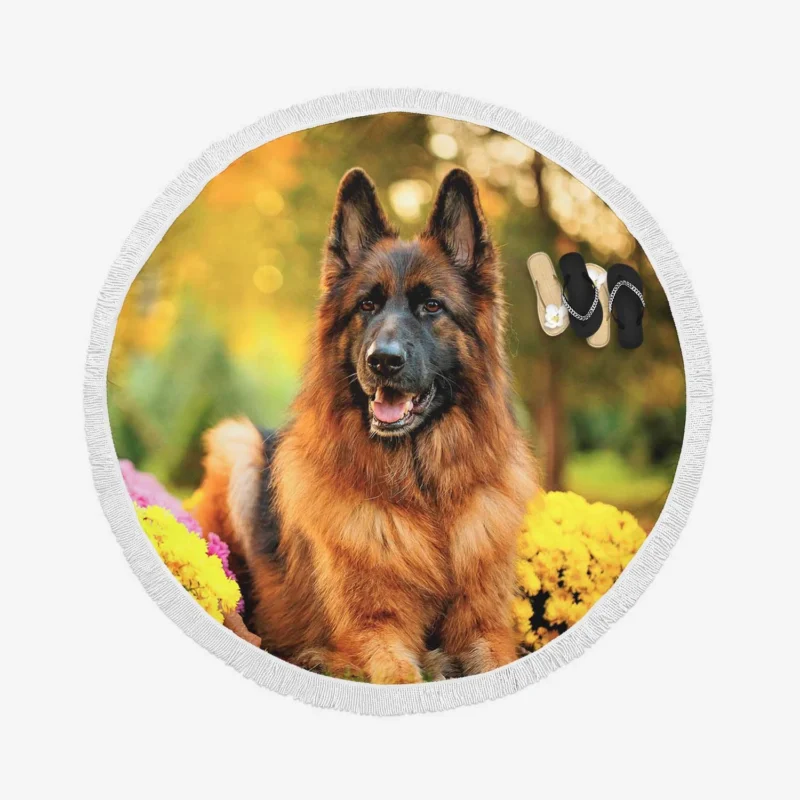 Guard Dogs: German Shepherd Excellence Round Beach Towel