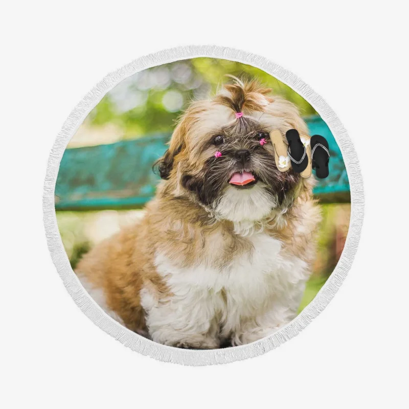 Magical Bokeh Setting: Shih Tzu Quartet Round Beach Towel