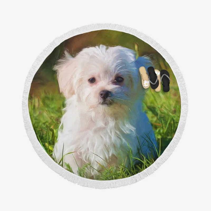 Masterful Canine Art: Maltese Oil Painting Round Beach Towel 1