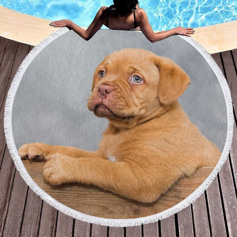 Mastiff Puppy in a Box: Dogue de Bordeaux Quartet Round Beach Towel 1