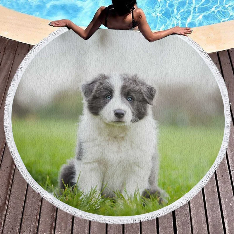 Playful Border Collie Puppies: Border Collie Round Beach Towel 1