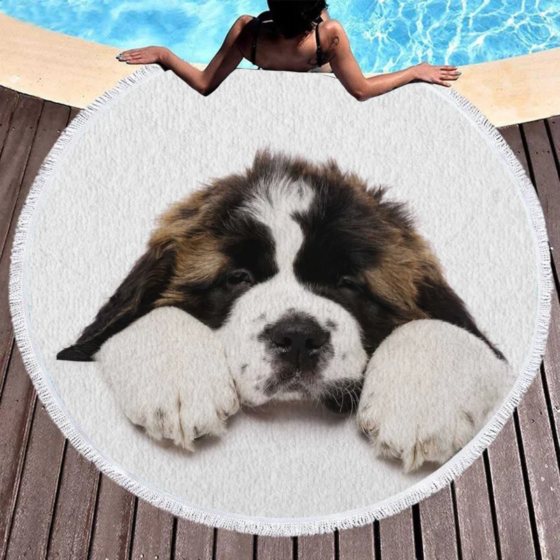 Playful Pups: Saint Bernard Quartet Round Beach Towel 1