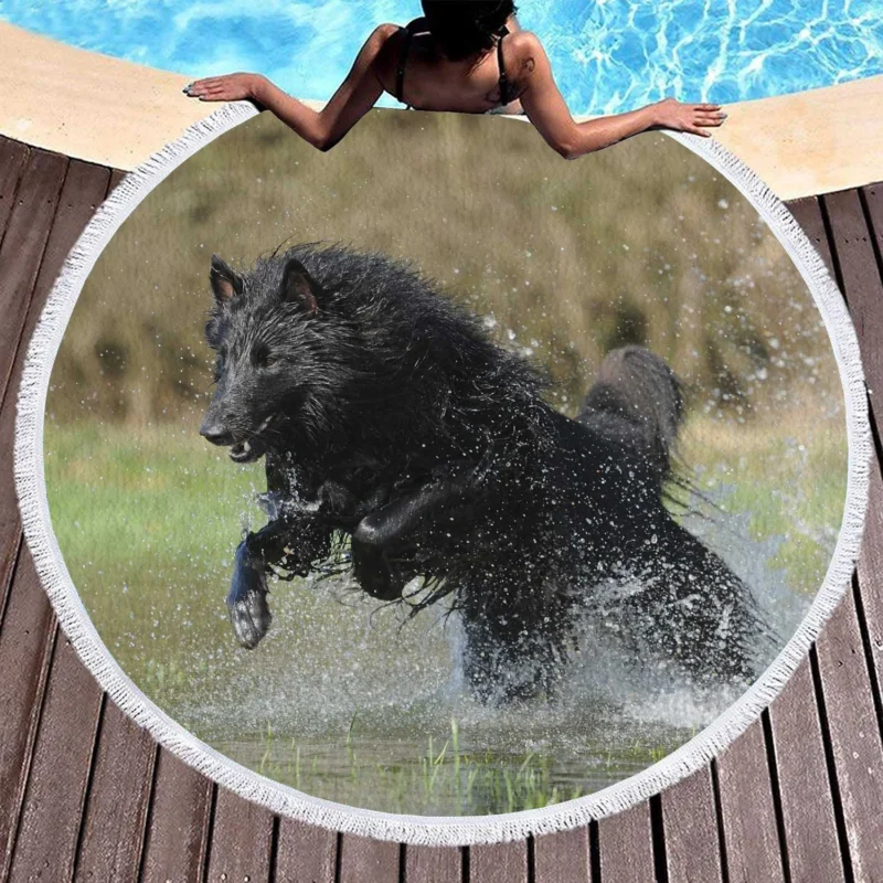 Playful Splash in the Water: Belgian Shepherd Round Beach Towel 1