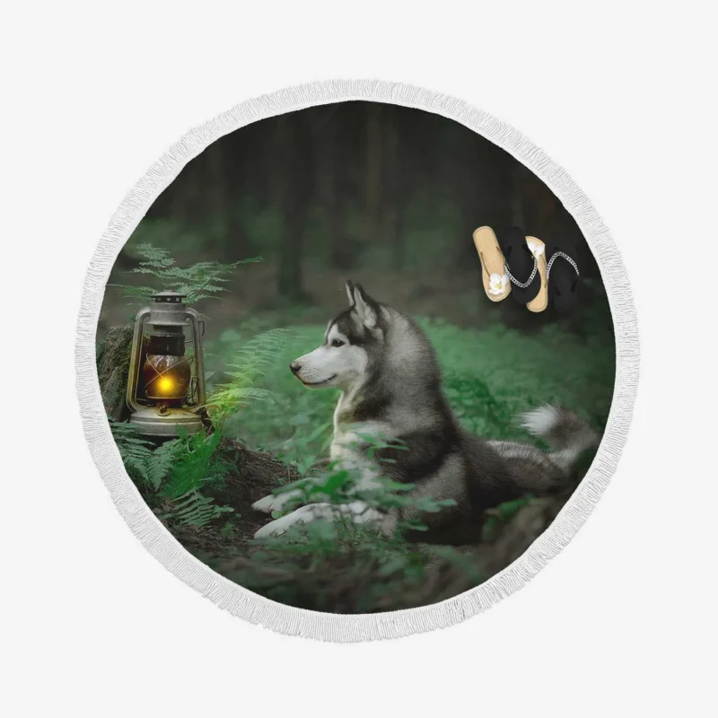 Quartet of Night Beauty: Husky Lantern in Ferns Round Beach Towel