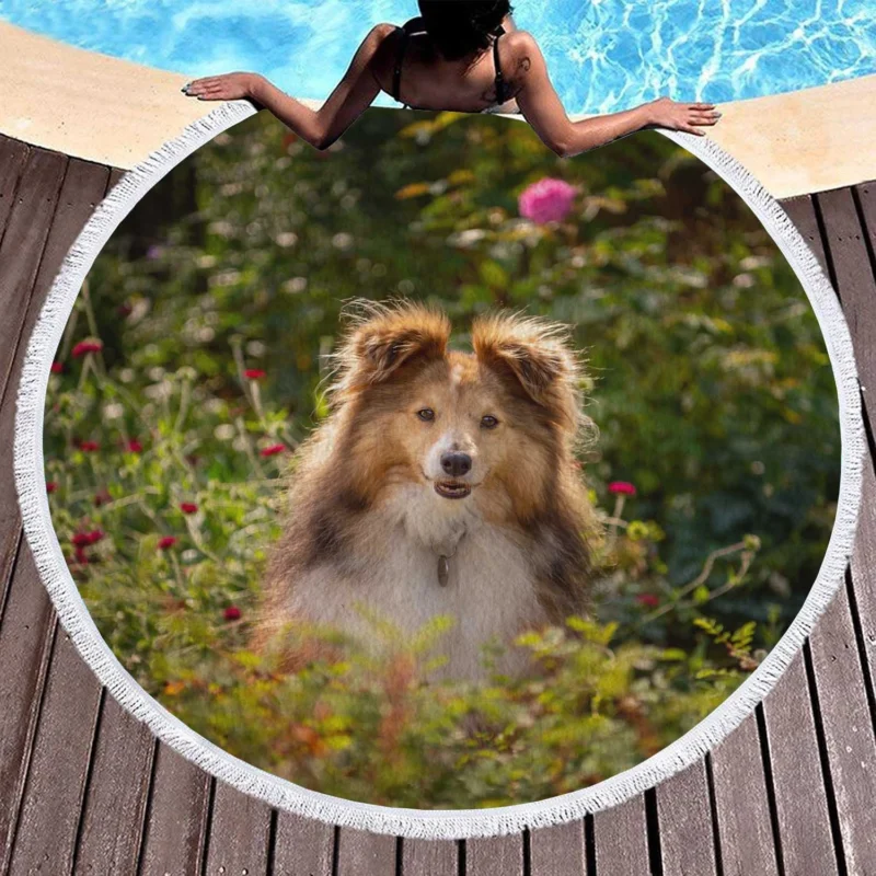 Serene Shetland Sheepdog Assembly: Quartet Round Beach Towel 1