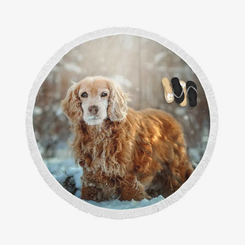 Snowy Serenity: Winter Wonderland Spaniel Quartet Round Beach Towel 1