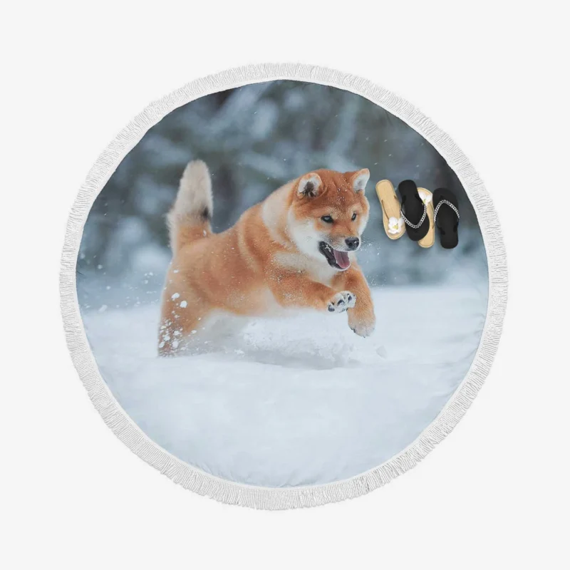 Snowy Wonderland with the Akita Quartet Round Beach Towel