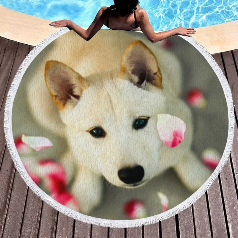 Tranquil Setting: Shiba Inu Quartet Round Beach Towel 1