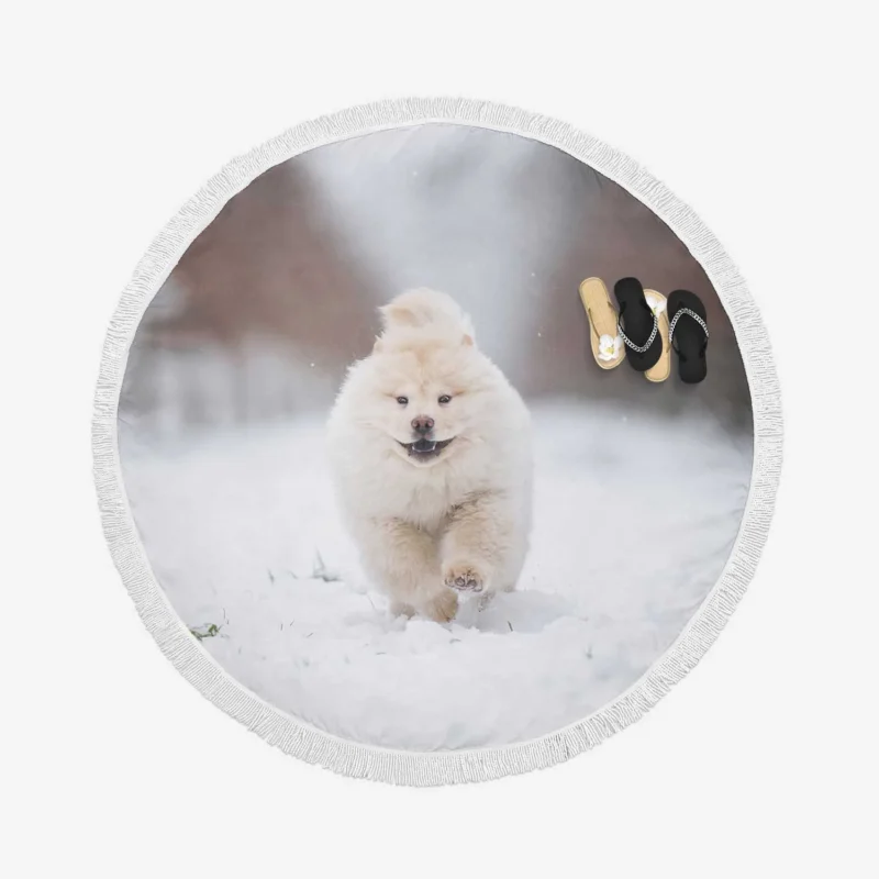 Winter Bauble: Chow Chow Puppies Round Beach Towel