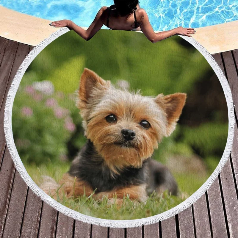Yorkshire Terrier Charm in the Grass: Cute Yorkie Round Beach Towel 1